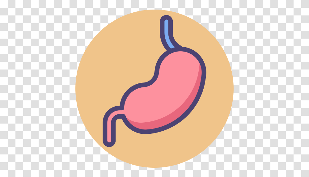 Stomach Stomach Icon, Plant, Food, Sweets, Confectionery Transparent Png