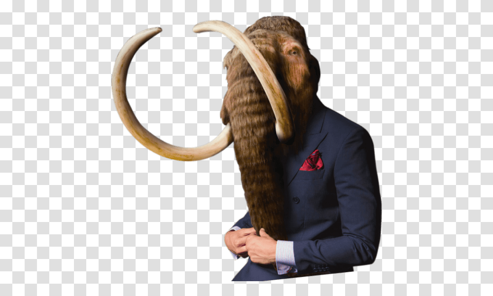 Stone Age Mammoth, Mammal, Animal, Person, Human Transparent Png