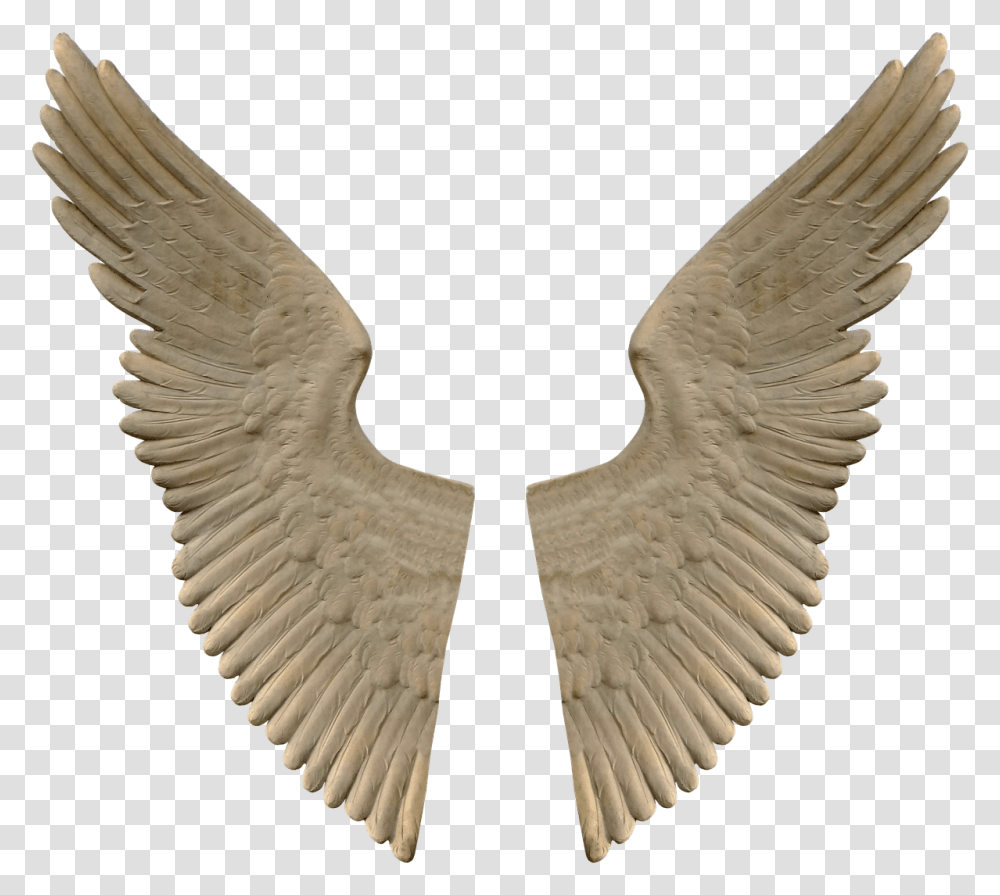Stone Angel Wings, Bird, Animal, Eagle, Bronze Transparent Png