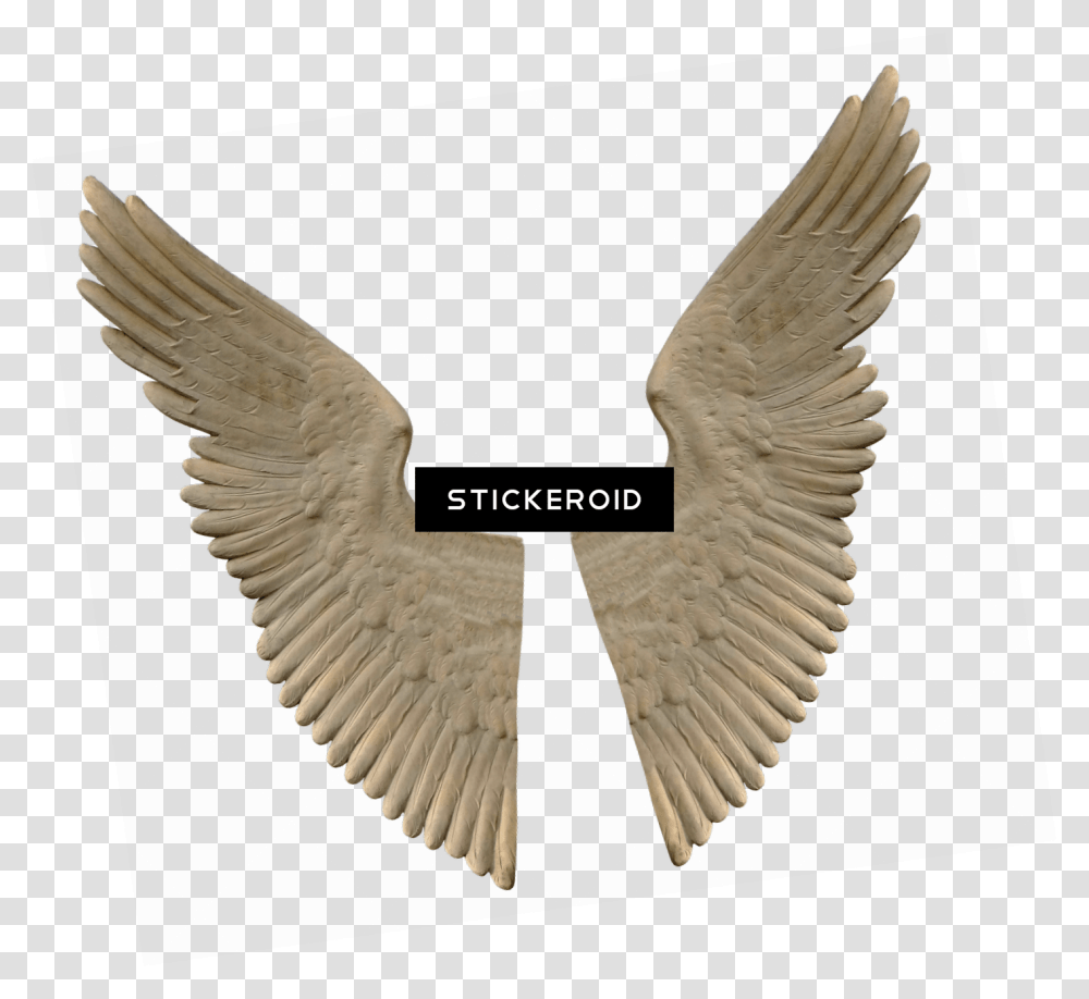 Stone Angel Wings Download Marble Statue Wings, Bird, Animal, Logo Transparent Png