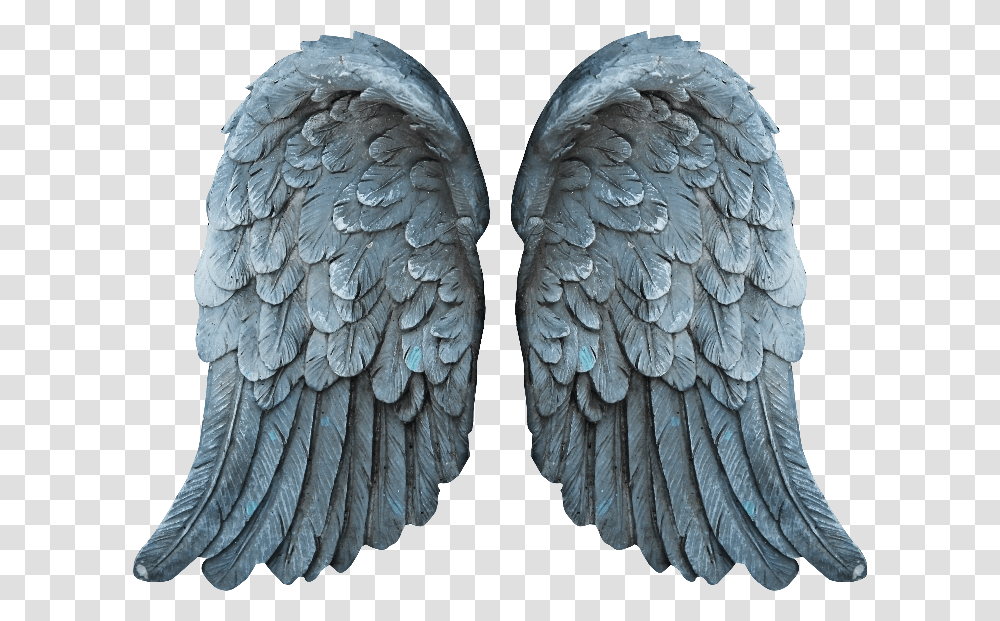 Stone Angel Wings, Pattern, Fossil, X-Ray, Medical Imaging X-Ray Film Transparent Png