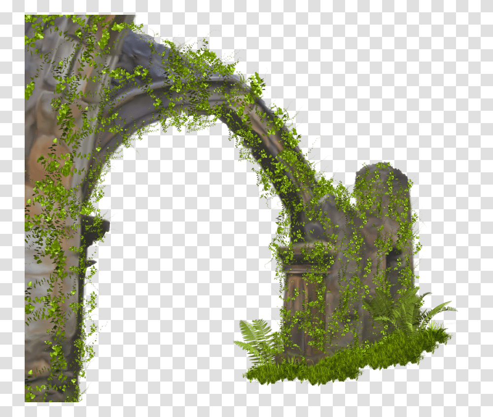 Stone Arch Arch, Green, Vegetation, Plant, Moss Transparent Png