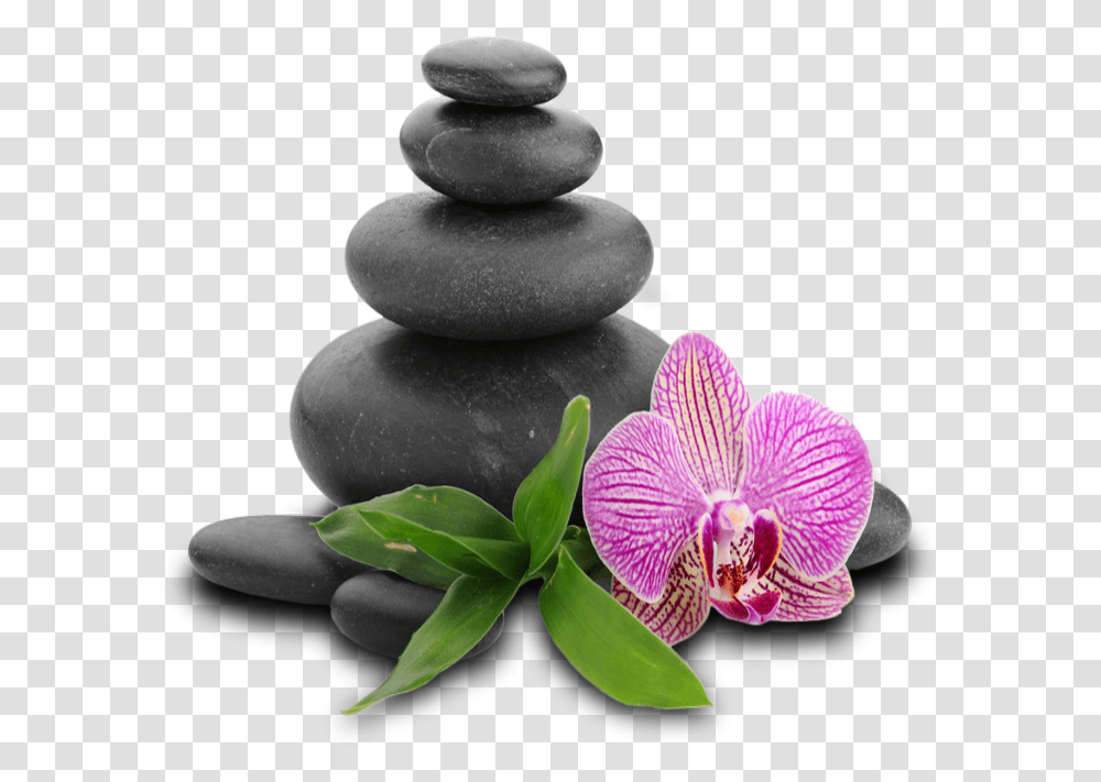 Stone In Spa, Plant, Flower, Blossom, Petal Transparent Png