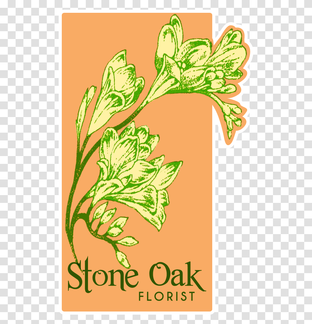 Stone Oak Florist Illustration, Floral Design, Pattern Transparent Png