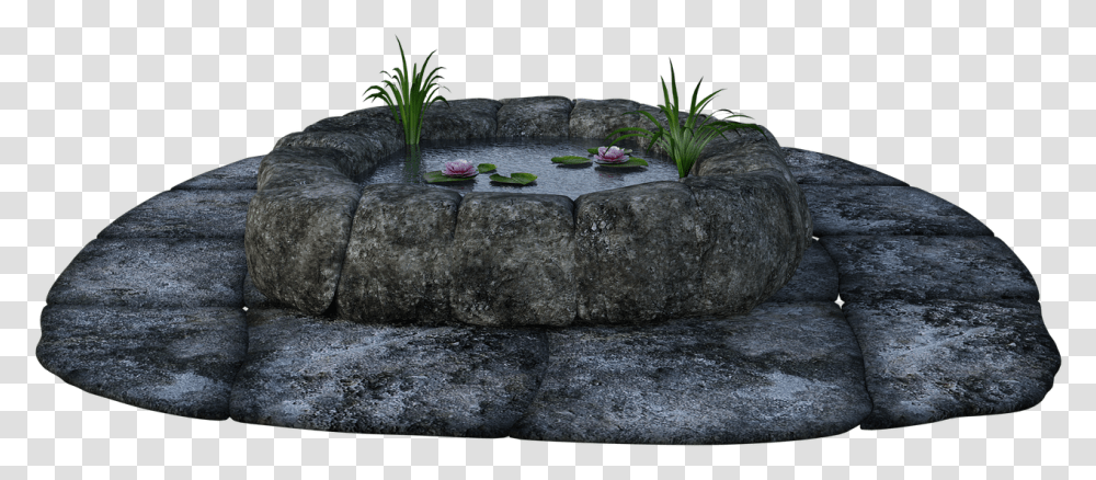 Stone Pond Grass Water Lily Pads Fish Wishing Outcrop, Plant, Slate, Flagstone, Rug Transparent Png