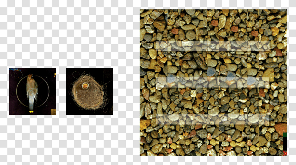 Stone Wall Hd Stone Wall, Snake, Reptile, Animal, Wood Transparent Png