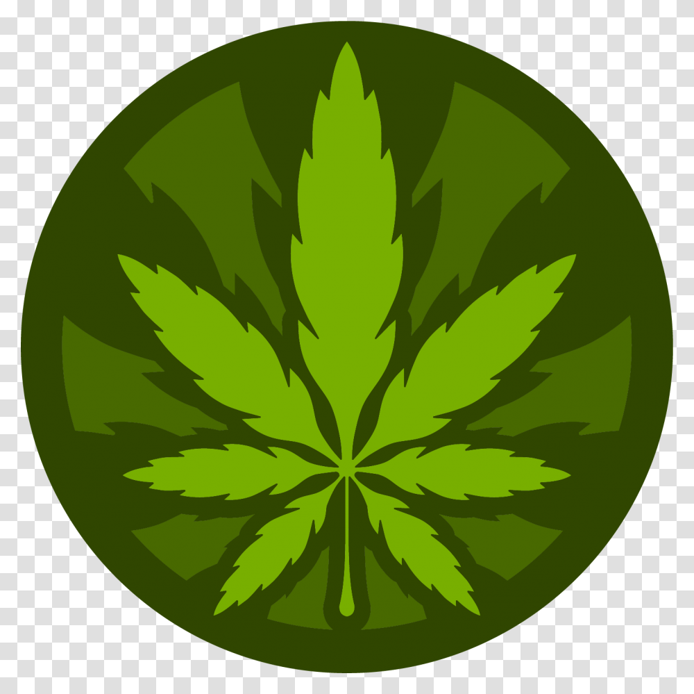 Stoned Daily News, Leaf, Plant, Green, Weed Transparent Png