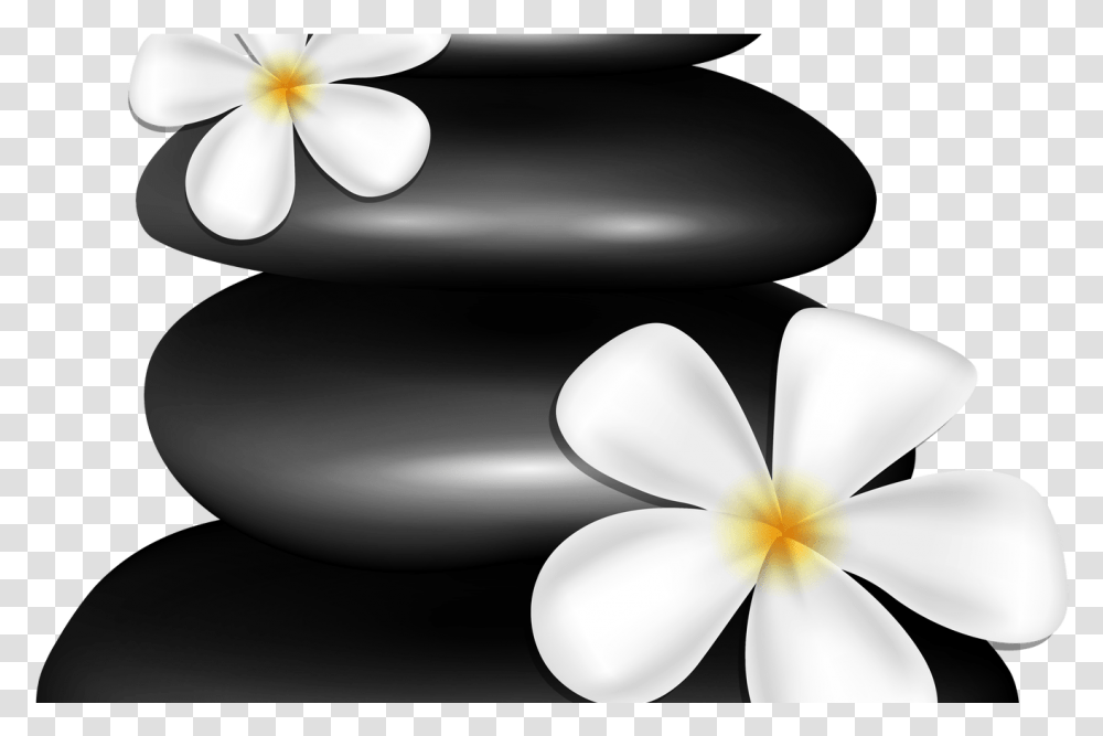 Stones Clipart Spa Icon Spa Clipart Background, Plant, Petal, Flower, Anemone Transparent Png