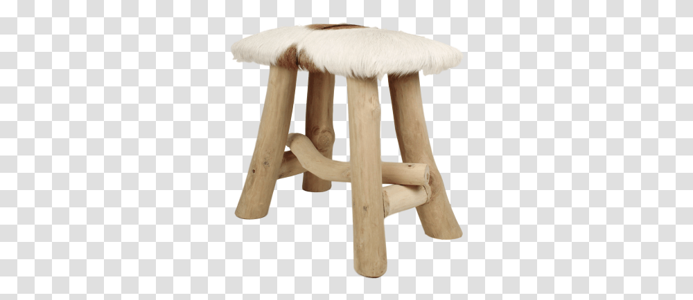 Stool, Plant, Cross, Agaric Transparent Png