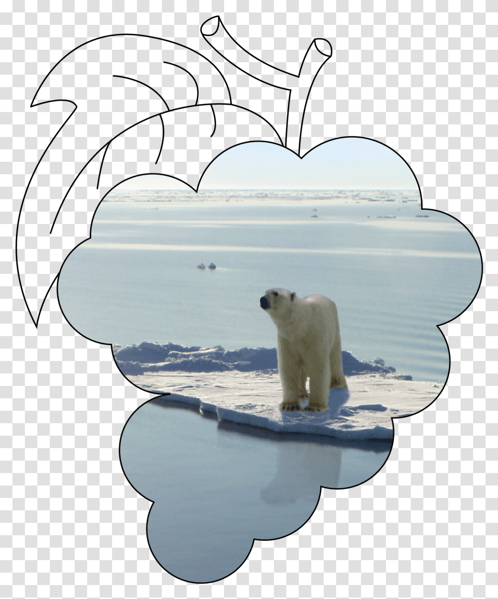 Stop Climate Change Polar Bear, Wildlife, Mammal, Animal, Bird Transparent Png