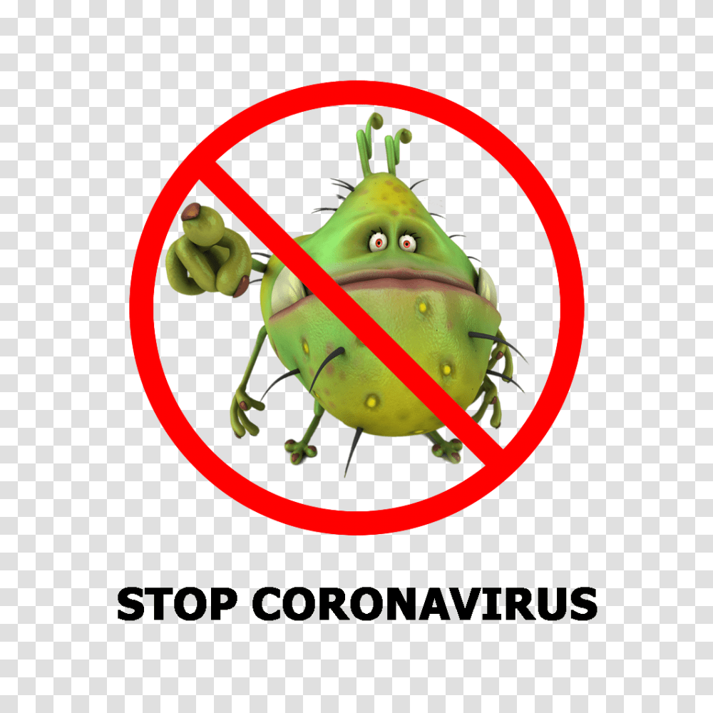 Stop Coronavirus, Animal, Invertebrate, Insect, Wasp Transparent Png