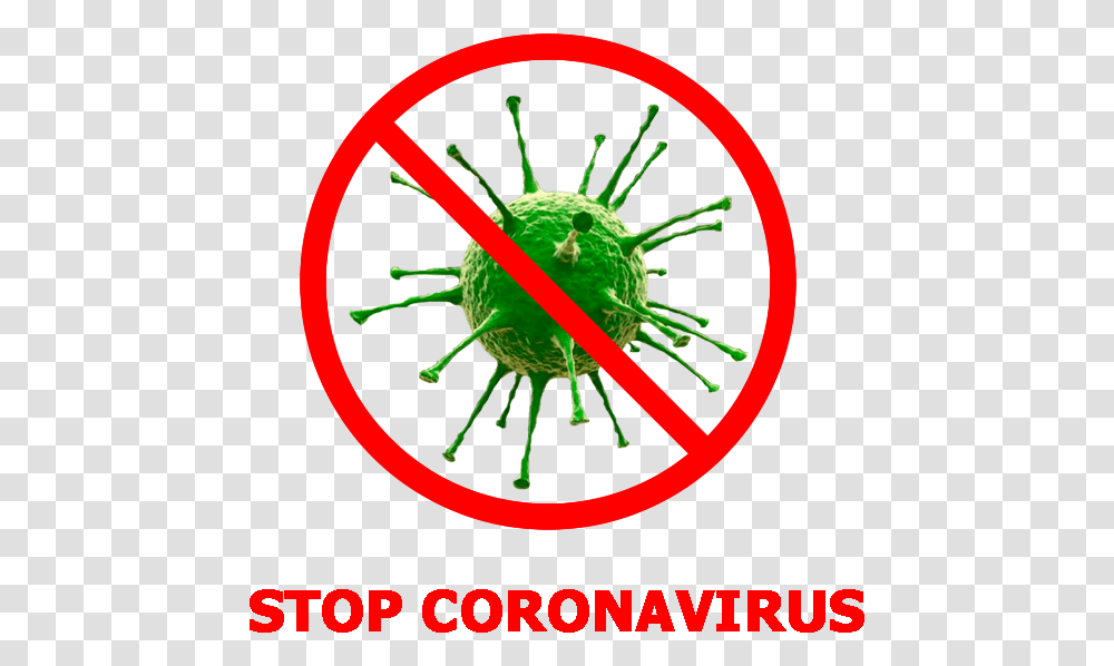Stop Coronavirus, Insect, Plant Transparent Png