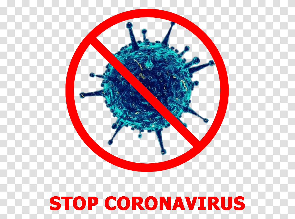 Stop Coronavirus, Spider, Insect, Hand Transparent Png