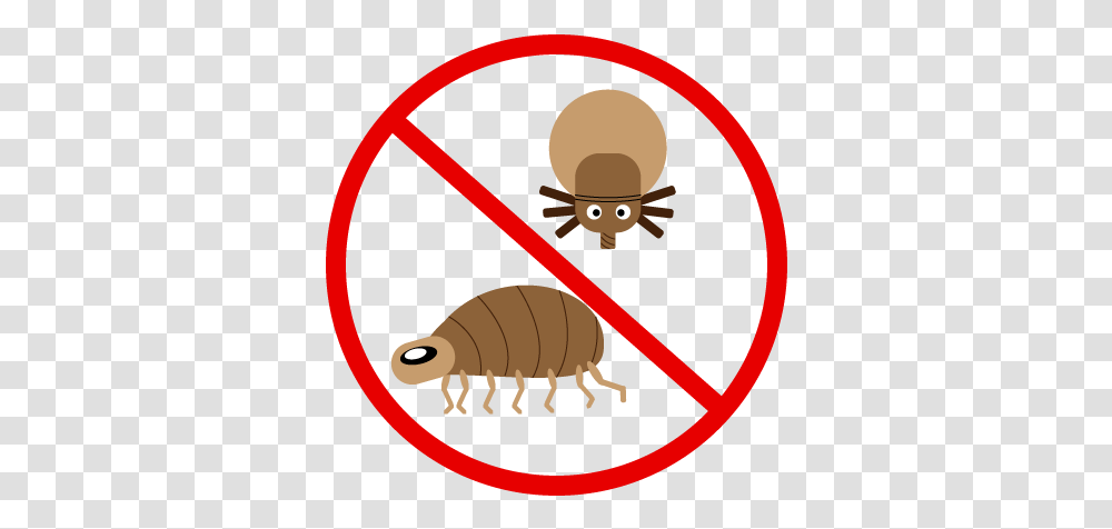Stop Fleas Cartoon Basketball Black And White, Animal, Invertebrate, Insect, Beverage Transparent Png