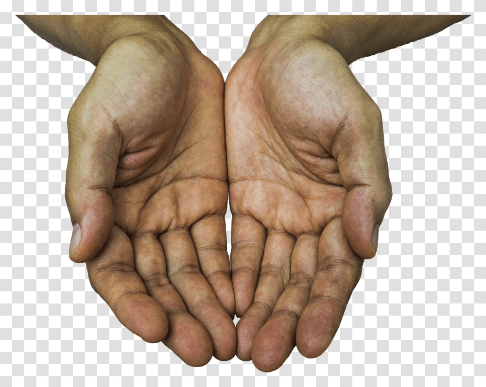 Stop Hand Holding Hands Out, Finger, Person, Human, Wrist Transparent Png