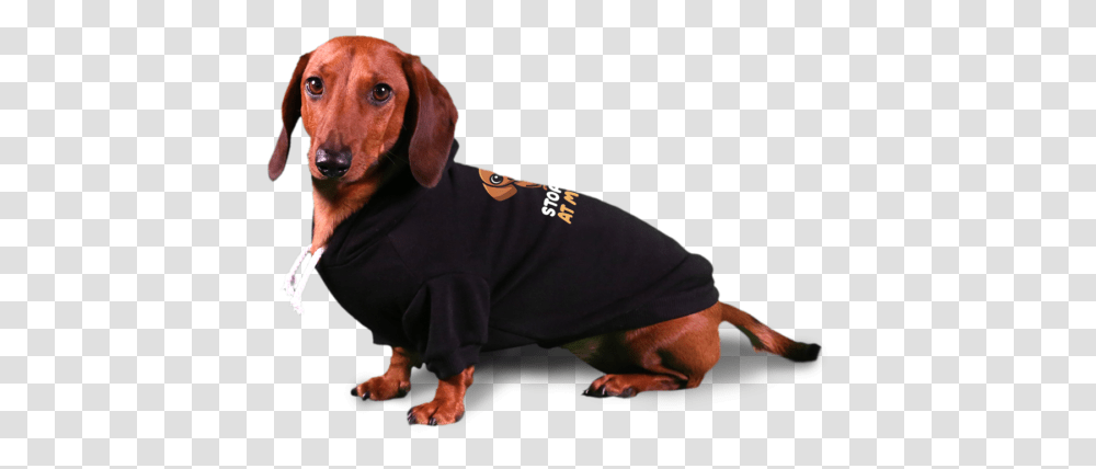 Stop Looking At My Weiner Dog Hoodie Dachshund, Person, Human, Apparel Transparent Png
