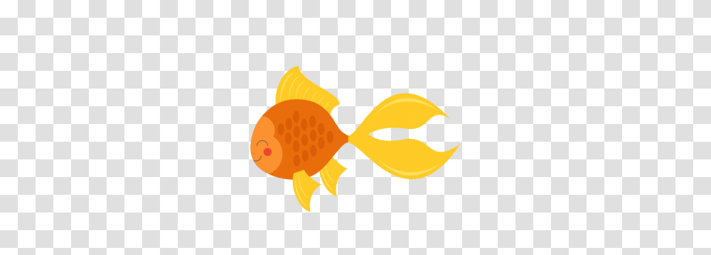 Store, Goldfish, Animal Transparent Png