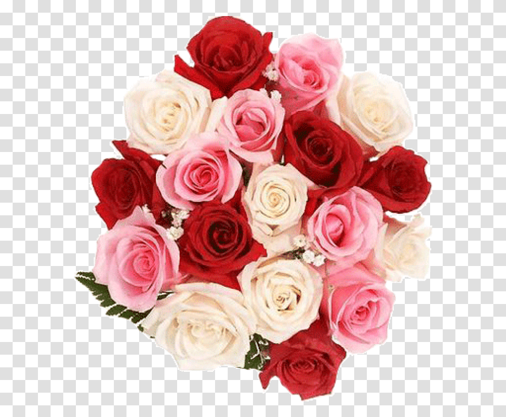 Store Pictures W Red And White Roses Bouquet, Plant, Flower Bouquet, Flower Arrangement, Blossom Transparent Png