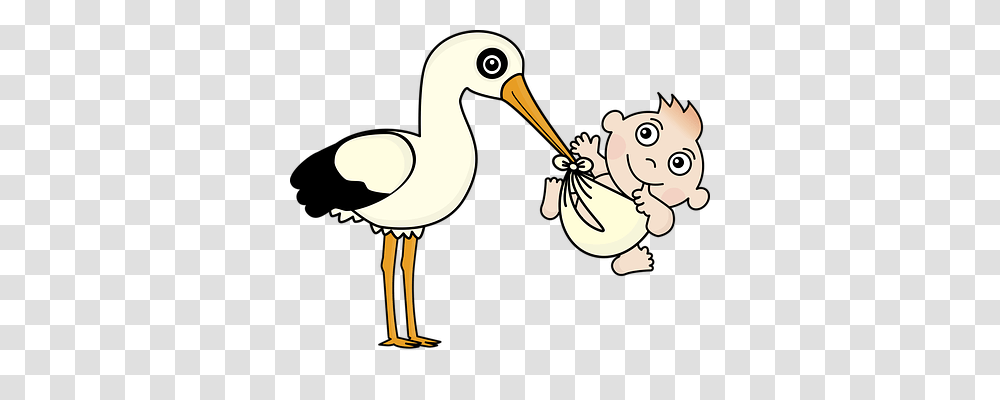 Stork Person, Bird, Animal, Beak Transparent Png