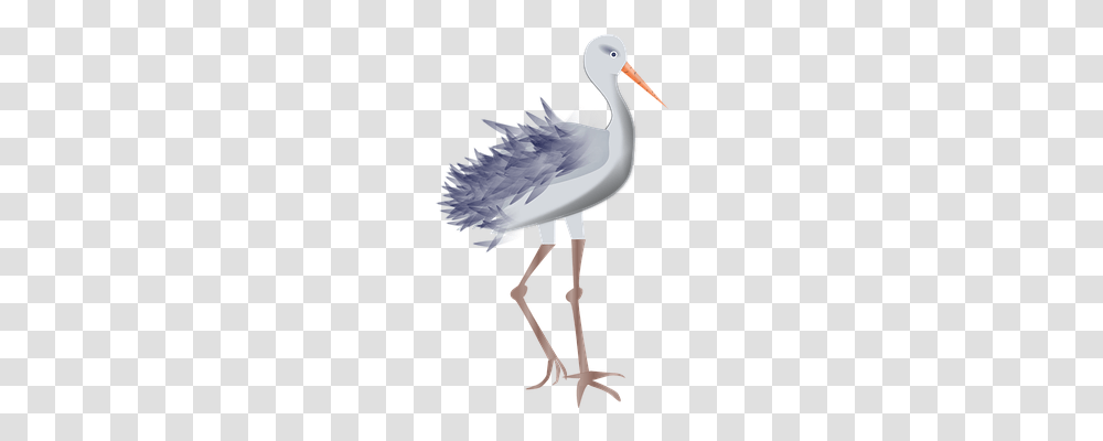 Stork Animals, Bird, Waterfowl, Ostrich Transparent Png