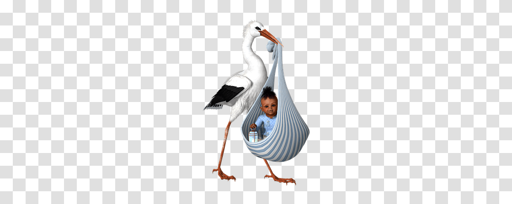 Stork Person, Human, Animal, Bird Transparent Png