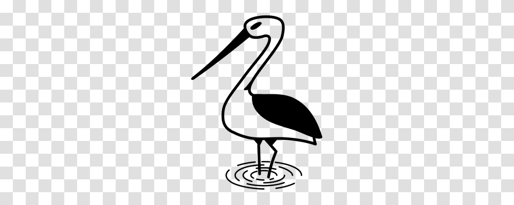 Stork Nature, Gray, World Of Warcraft Transparent Png