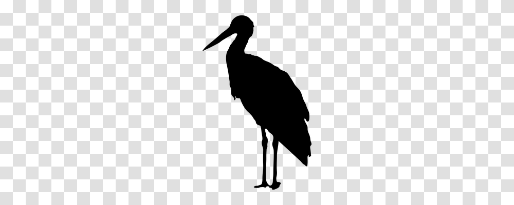 Stork Nature, Gray, World Of Warcraft Transparent Png