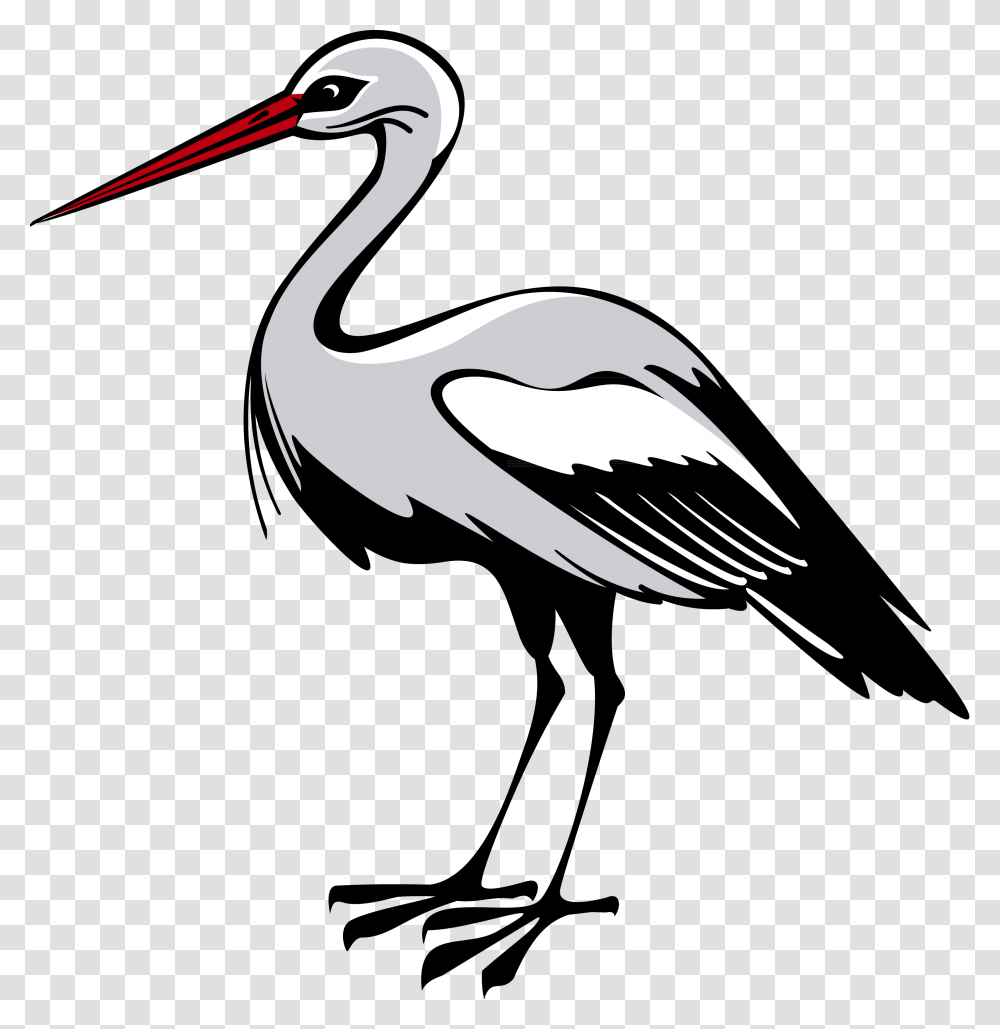 Stork, Animals, Bird, Crane Bird, Waterfowl Transparent Png