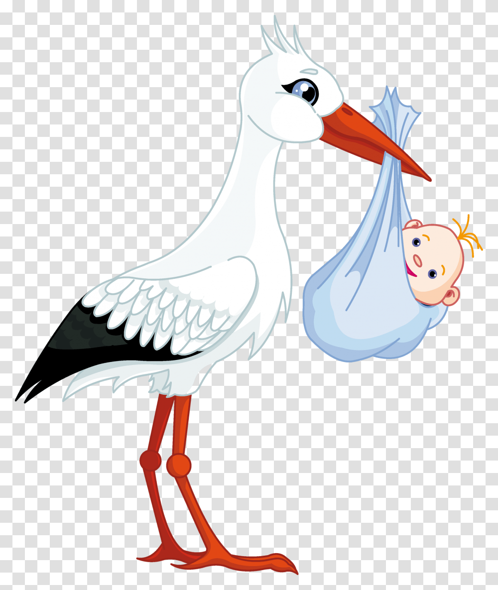 Stork, Animals, Bird, Mammal Transparent Png