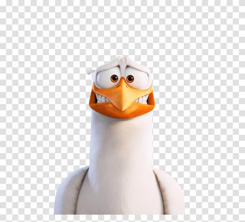 Stork, Animals, Bird, Penguin, Beak Transparent Png