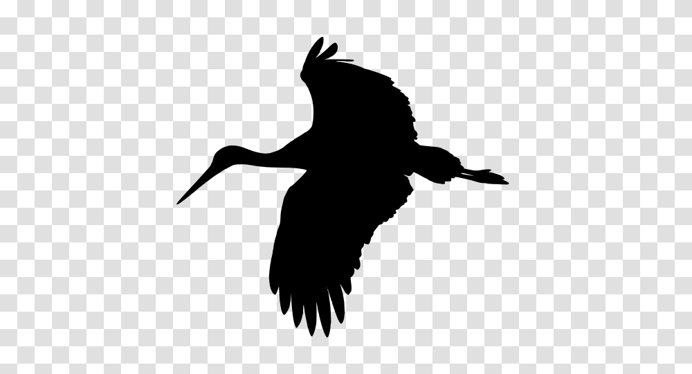 Stork, Animals, Gray, World Of Warcraft Transparent Png