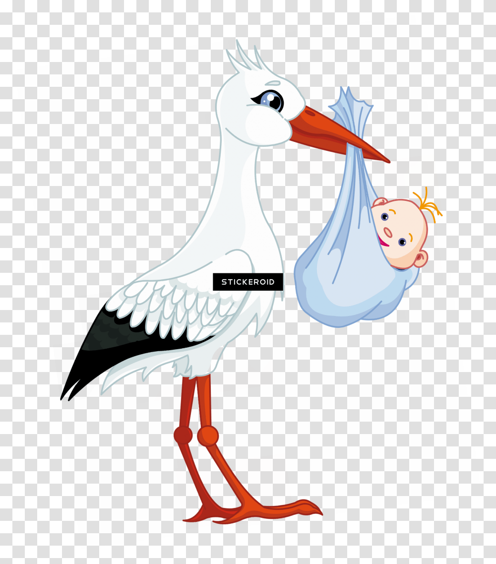 Stork, Animal, Mammal Transparent Png