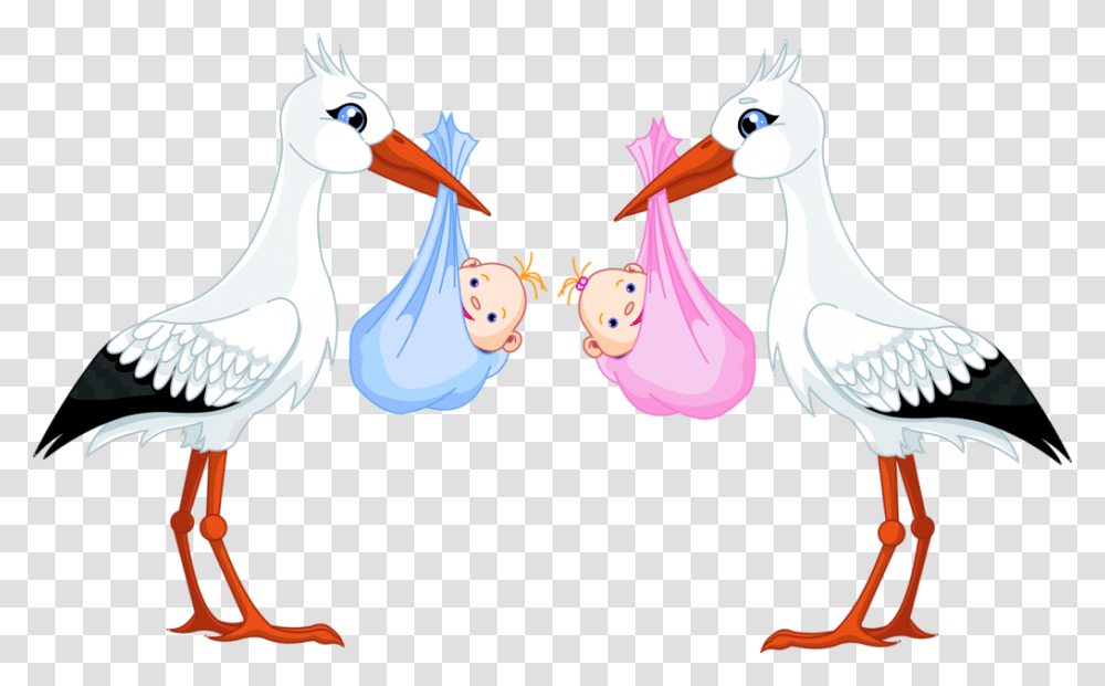 Stork Baby Clipart Download Boy And Girl Twins Clipart, Crane Bird, Animal, Pelican Transparent Png