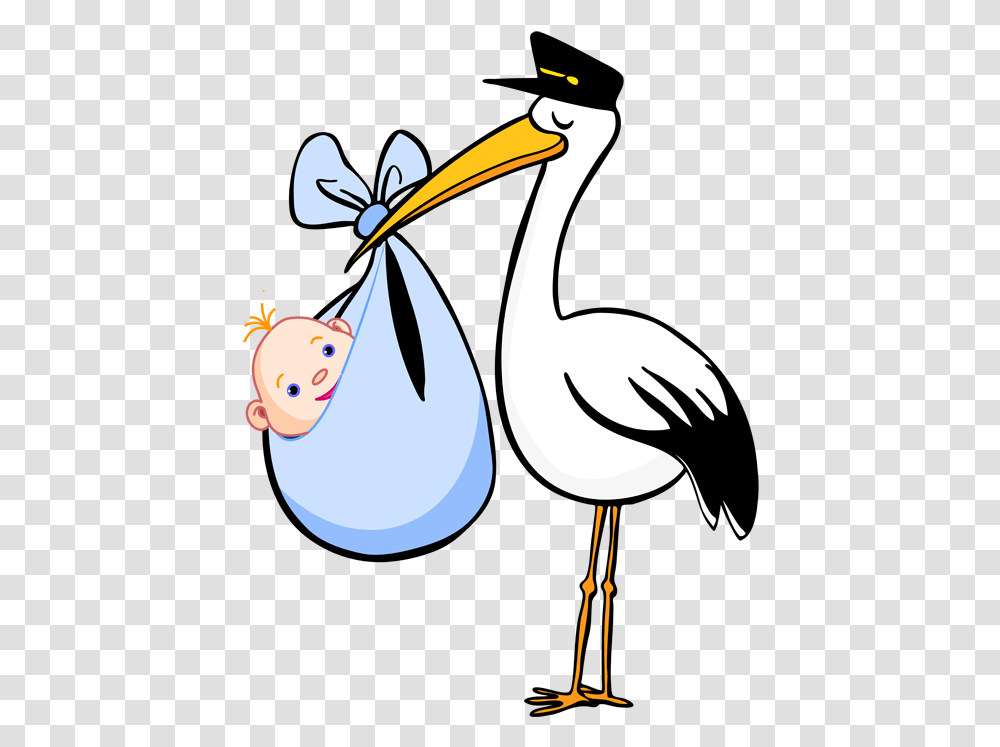 Stork Baby Stork Clipart, Bird, Animal, Pelican, Flamingo Transparent Png