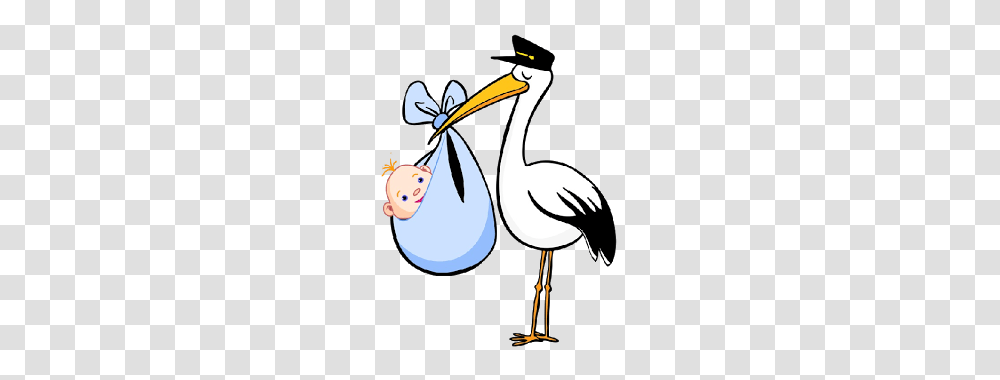 Stork Carrying Baby, Bird, Animal, Pelican, Flamingo Transparent Png