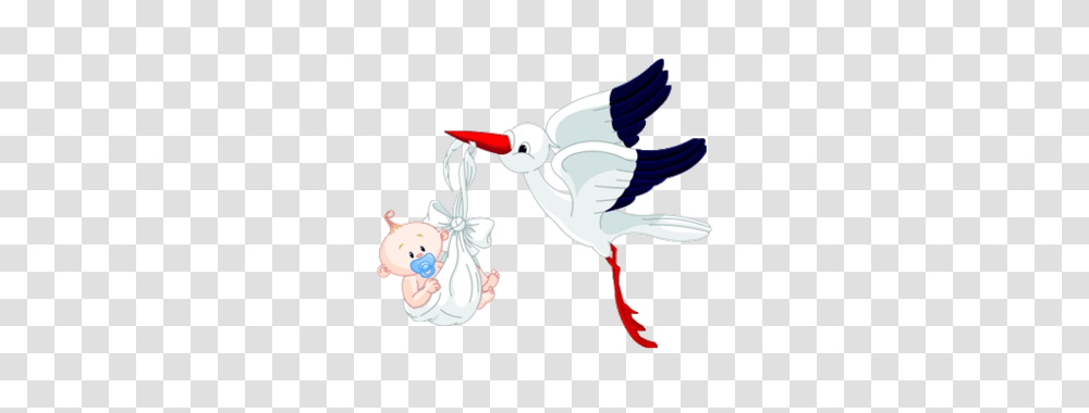 Stork Carrying Baby, Flying, Bird, Animal, Outdoors Transparent Png