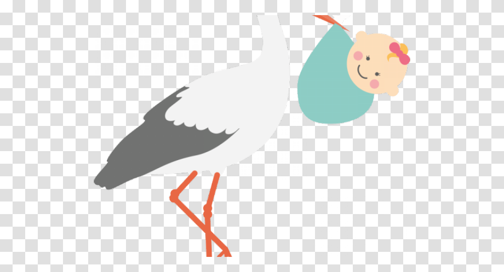 Stork Clipart, Animal, Bird, Beak, Waterfowl Transparent Png