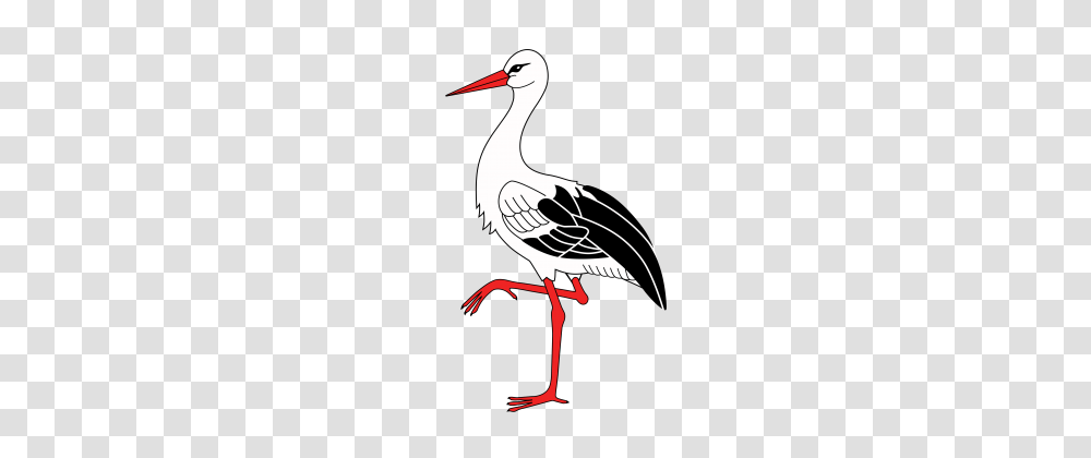 Stork Clipart, Animal, Bird, Crane Bird, Waterfowl Transparent Png