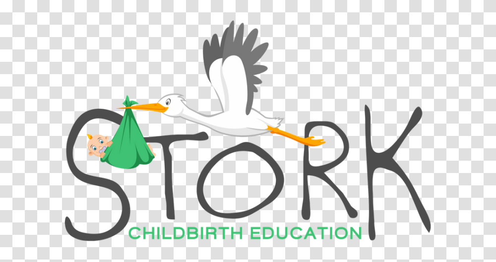 Stork Clipart Childbirth, Animal, Bird, Waterfowl, Pelican Transparent Png