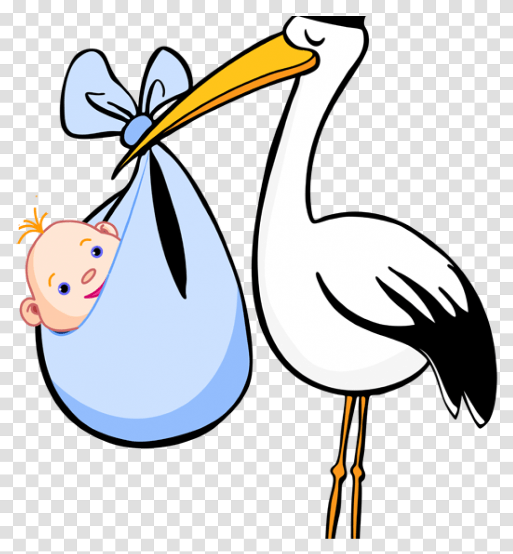 Stork Clipart Free Clip Art For Birth Announcements Stork Clipart, Bird, Animal, Pelican, Flamingo Transparent Png