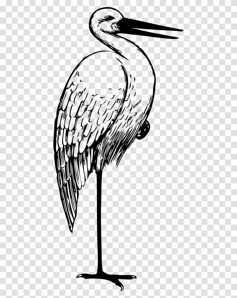 Stork Clipart Head, Architecture, Building, Indoors Transparent Png