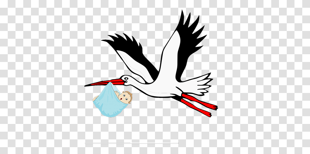 Stork Clipart Obstetrician, Crane Bird, Animal, Waterfowl, Flying Transparent Png