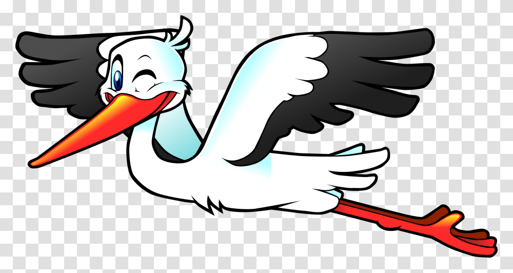 Stork Hd Hdpng Images Pluspng Stork Cartoon, Animal, Bird, Pelican, Crane Bird Transparent Png