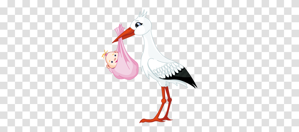 Stork Images Stork With Baby, Bird, Animal, Crane Bird, Waterfowl Transparent Png