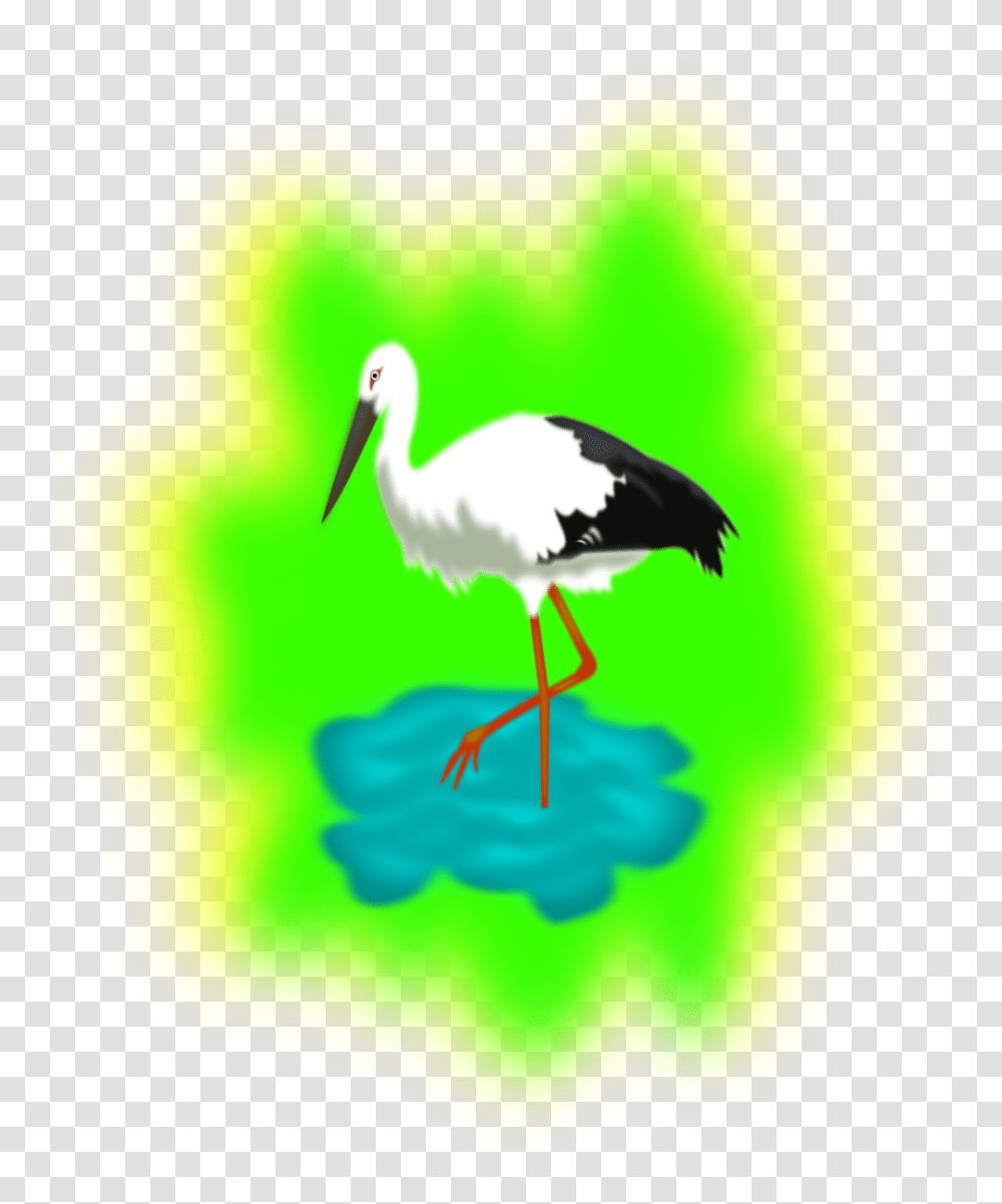 Stork In Water Clipart, Bird, Animal, Plant, Vegetable Transparent Png