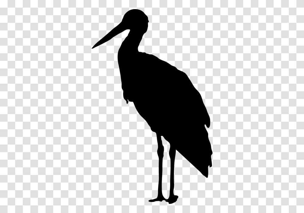 Stork Silhouette, Bird, Animal, Person, Human Transparent Png