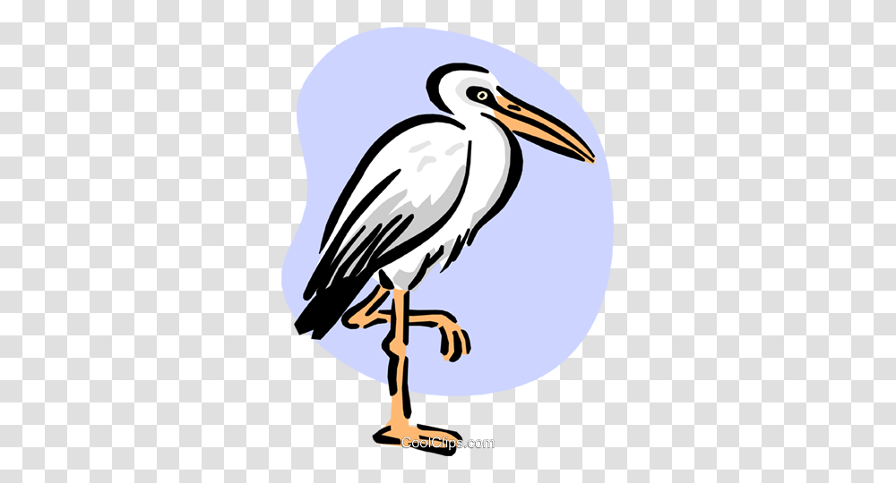 Stork Standing Royalty Free Vector Clip Art Illustration, Bird, Animal, Pelican, Waterfowl Transparent Png