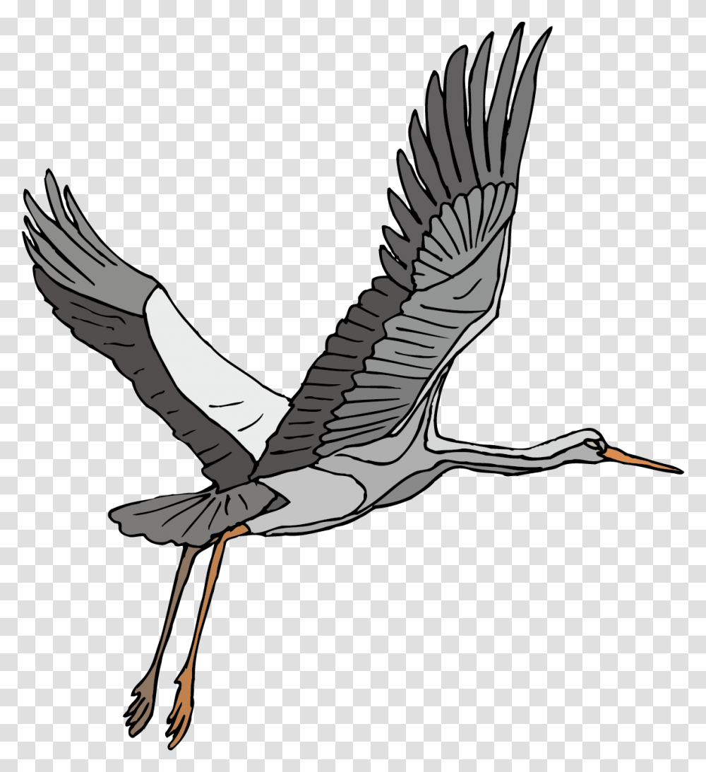 Stork Vector Heron Crane Bird Clip Art Flying, Animal, Waterfowl, Ardeidae Transparent Png