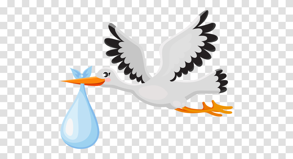 Stork With Baby Clip Art, Bird, Animal, Pelican, Crane Bird Transparent Png