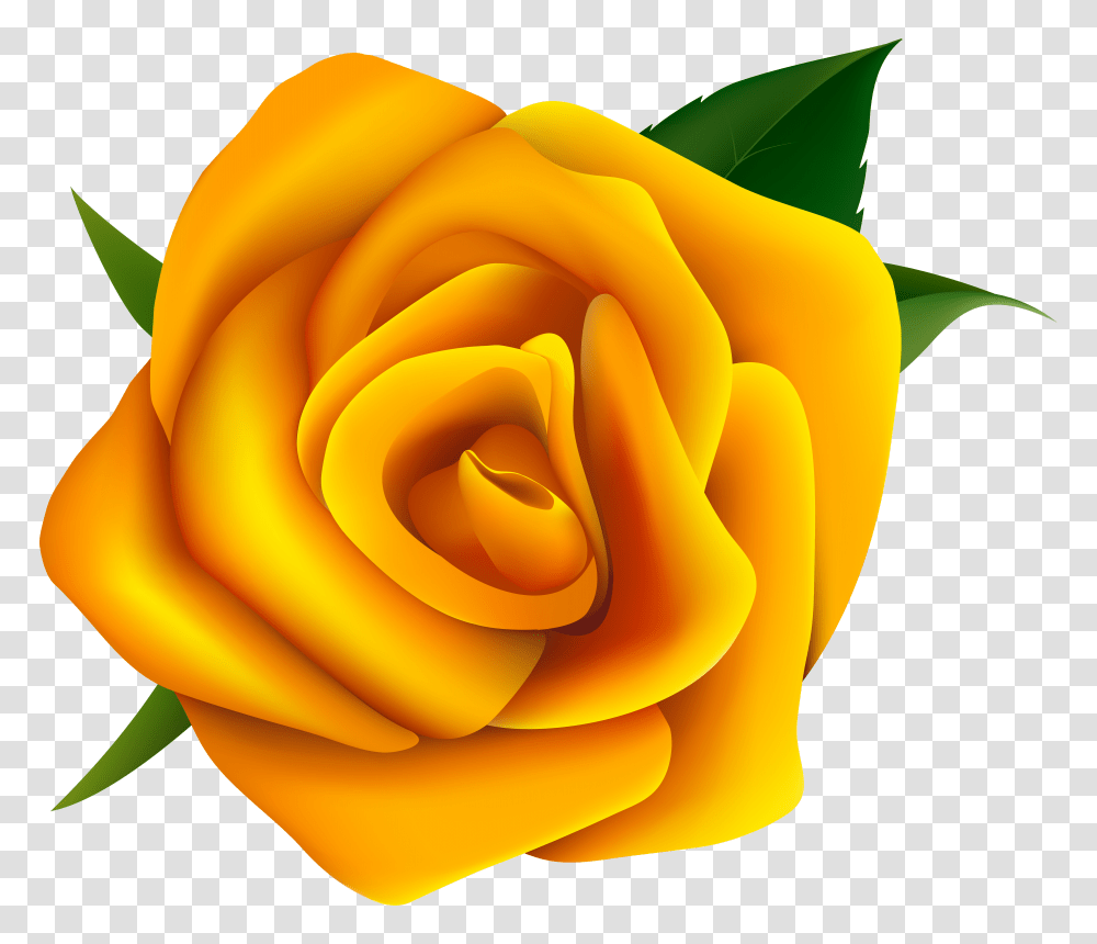 Storm Clipart Rose, Flower, Plant, Blossom, Petal Transparent Png